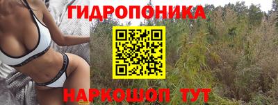 винт Новокубанск